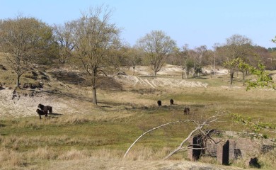 img-2
